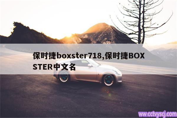 保时捷boxster718,保时捷BOXSTER中文名 