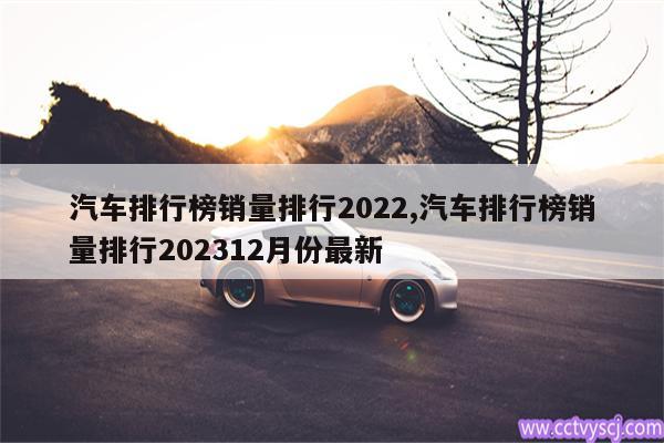 汽车排行榜销量排行2022,汽车排行榜销量排行202312月份最新 