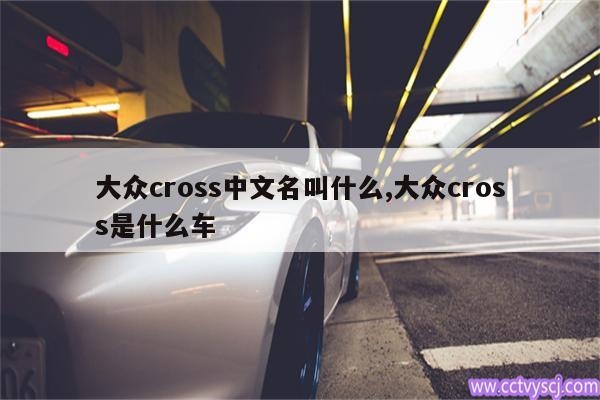 大众cross中文名叫什么,大众cross是什么车 